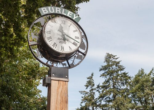 Burley 2