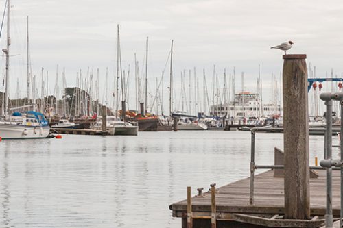 Lymington1