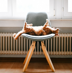 Efficient central heating