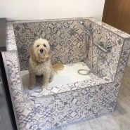 Bespoke Dog Washing Station